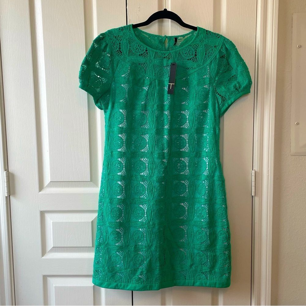 Talbots Conrad Dress in Green Embroidered Overlay